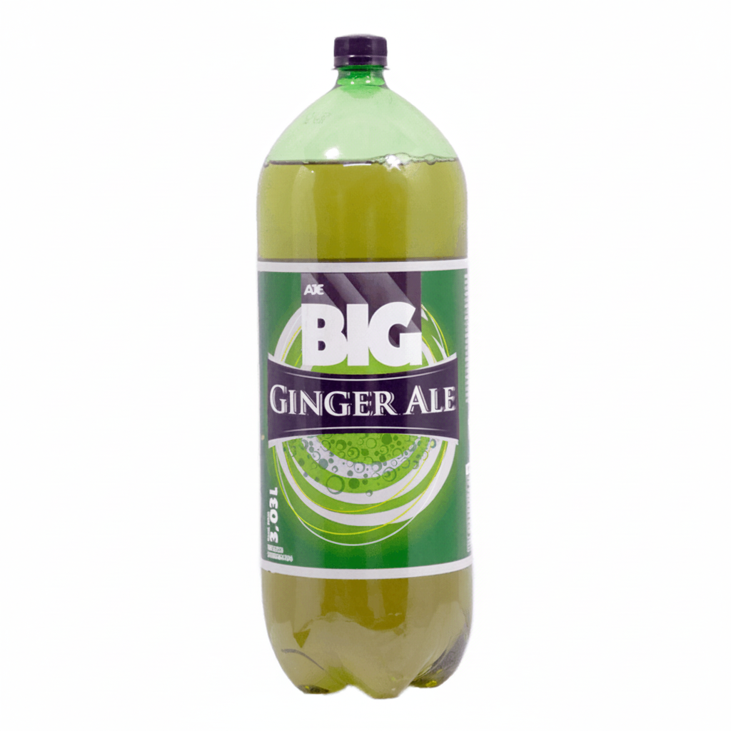 GASEOSA GINGER ALE BIG PET 3030ML