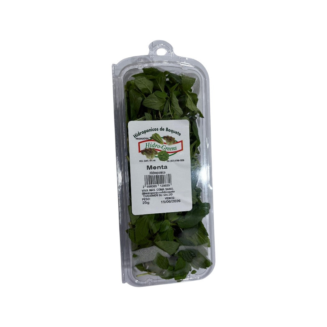 MENTA HIDROGREENS EMPACADA