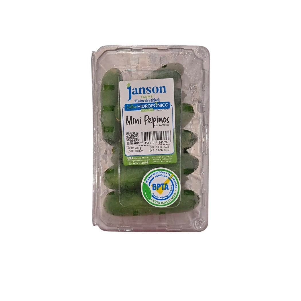 MINI PEPINO SSEMILLA JANSON HIDROPONICS