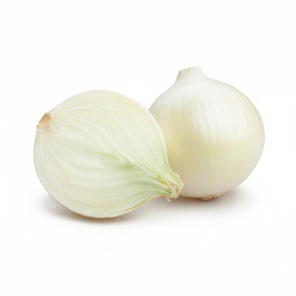 CEBOLLA BLANCA IMPORTADA POR KG