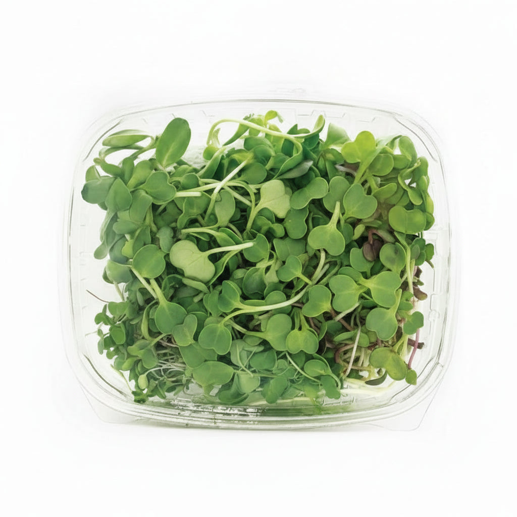 MICROGREENS MIXTO EMPACADO