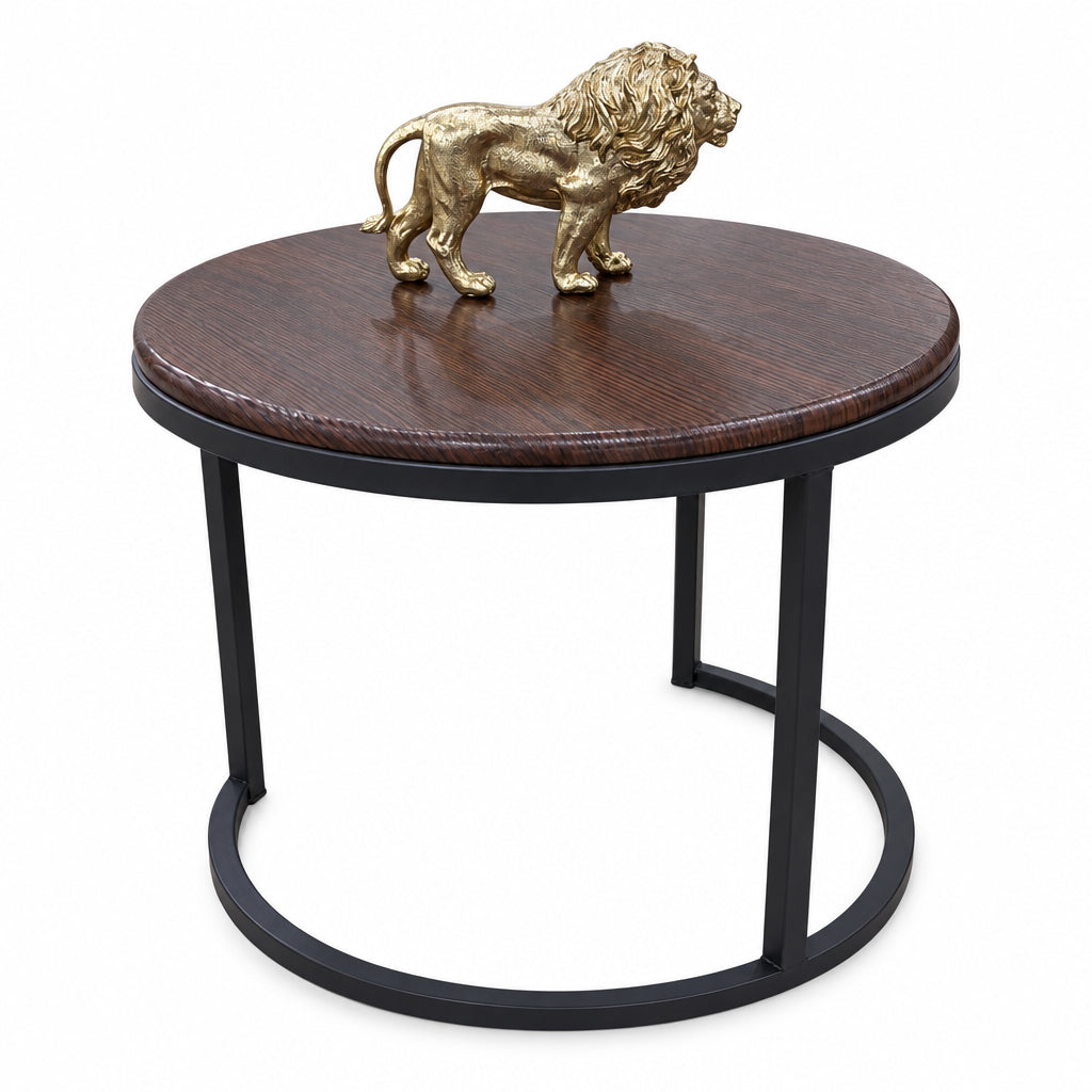 MESA DE CENTRO GRANDE
