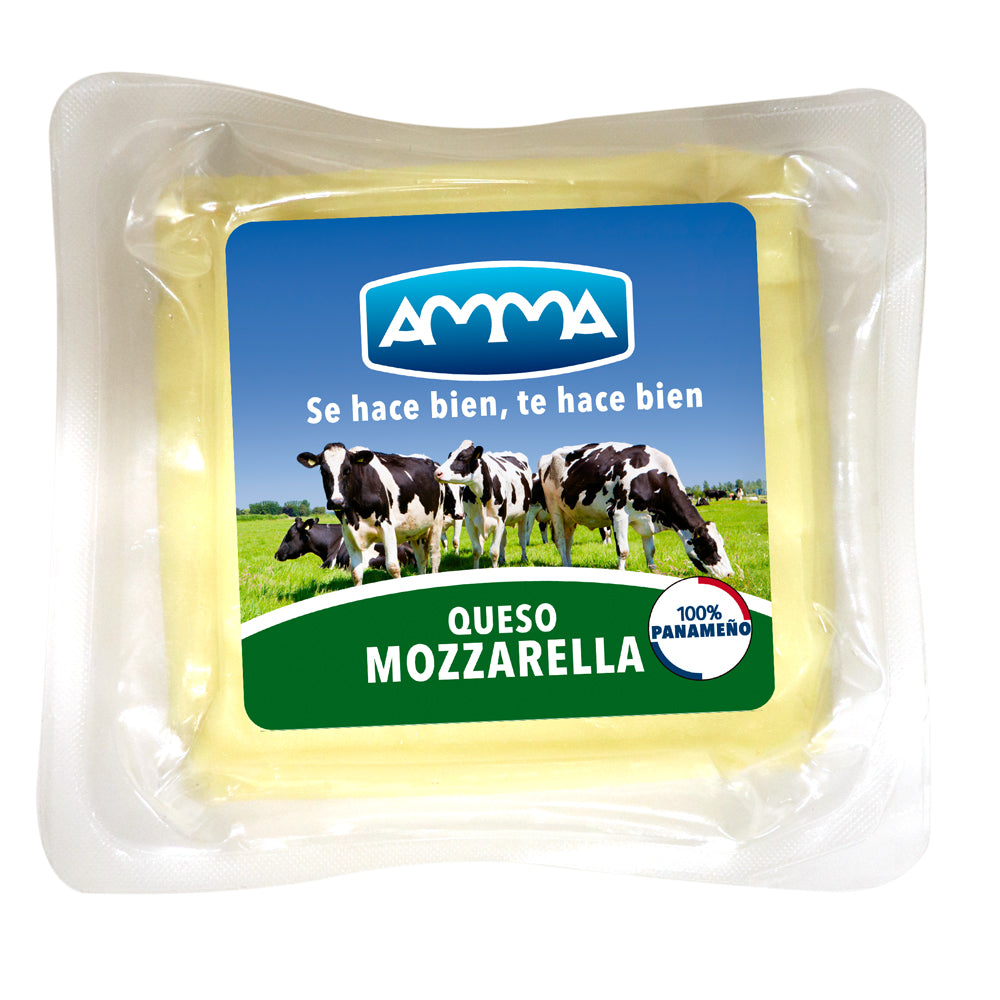 QUESO MOZARELLA AMMA 200GR