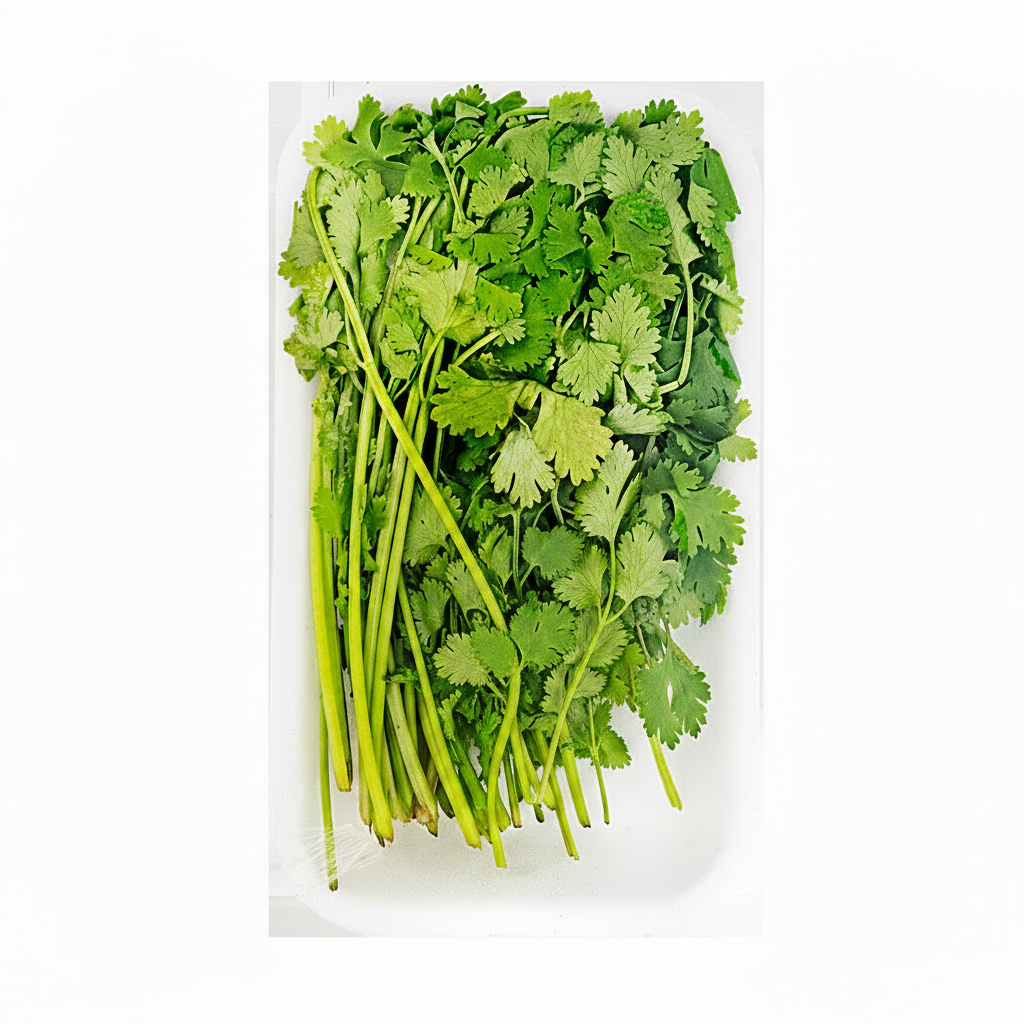 CILANTRO CHINO EMPACADO