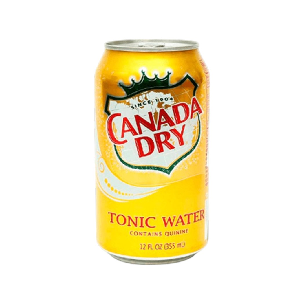 AGUA TONICA CANADA DRY 355ML