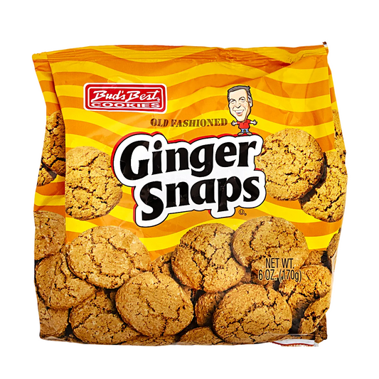 GALLETAS GINGER SNAPS BEST 170GR