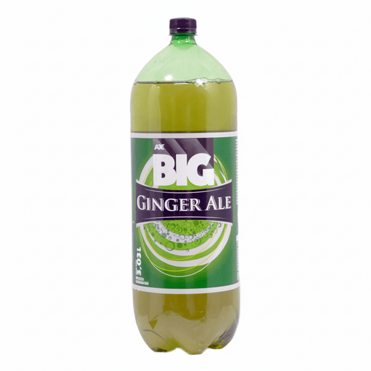 GASEOSA GINGER ALE BIG PET 3030ML