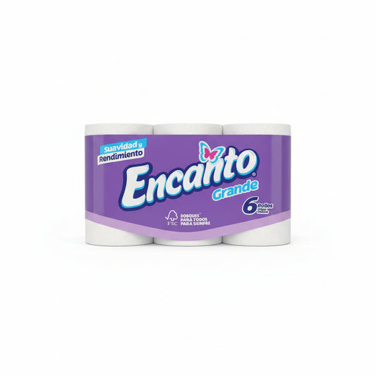 PAPEL HIGIÉNICO GRANDE 6ROLLOS 300H