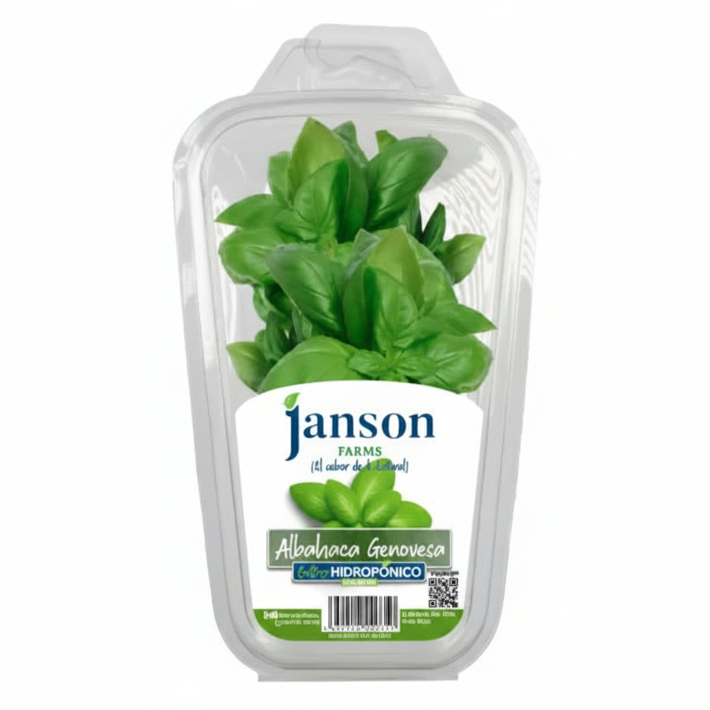 ALBAHACA GENOVESA JANSON