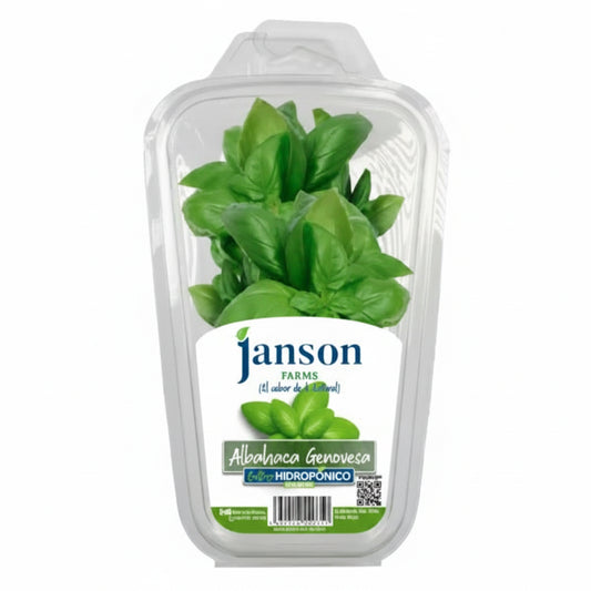 ALBAHACA GENOVESA JANSON