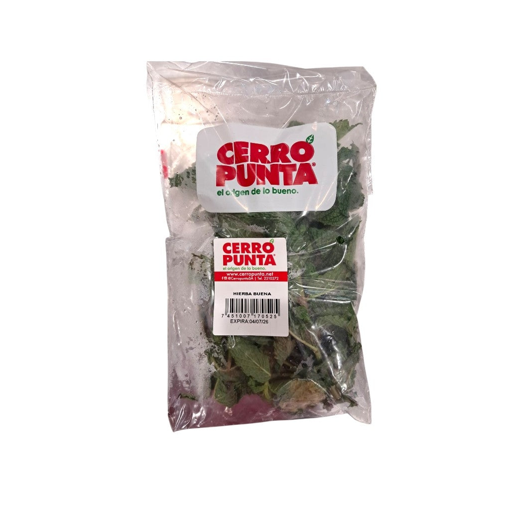 HIERBA BUENA CERRO PUNTA