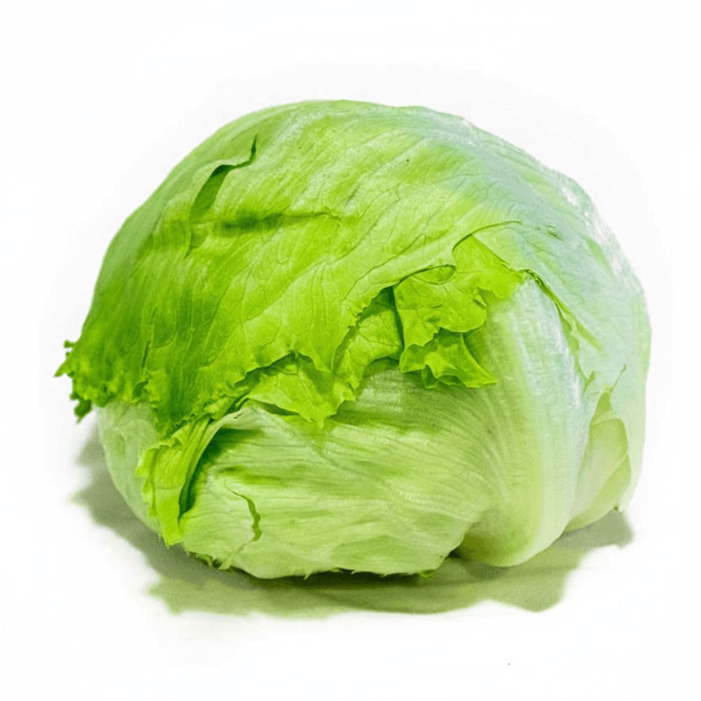 LECHUGA AMERICANA CERRO PUNTA POR KG