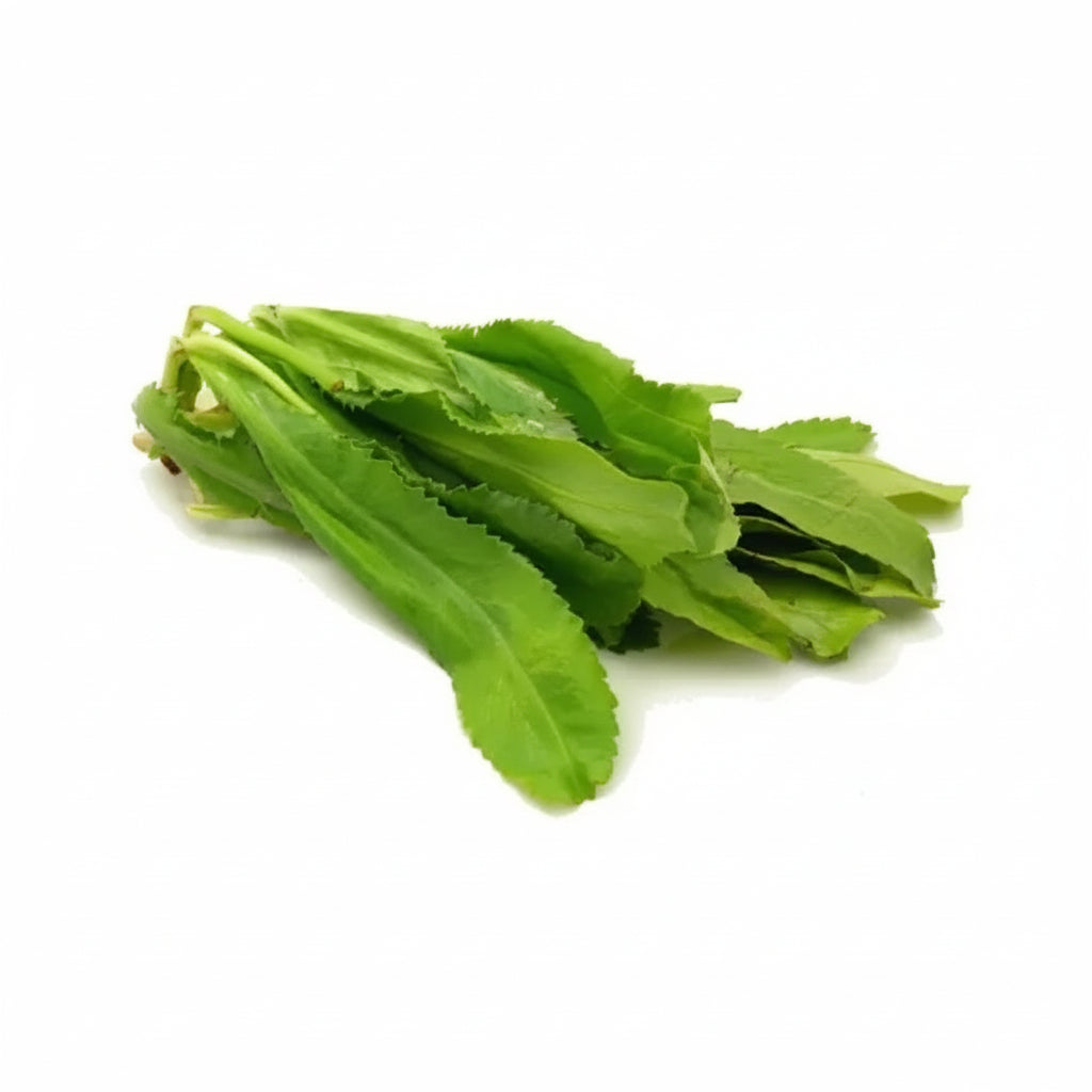 CULANTRO POR KG