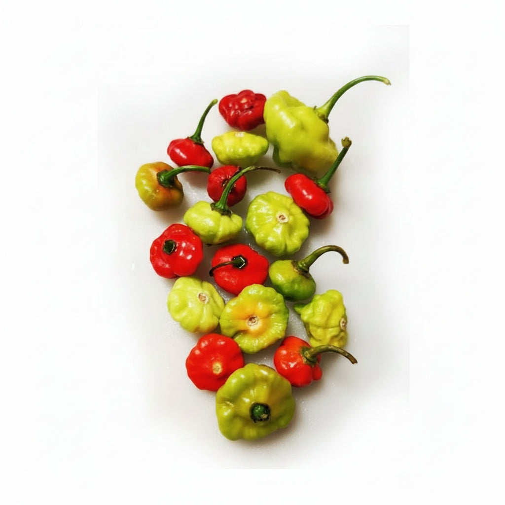 AJI TROMPITO POR KG