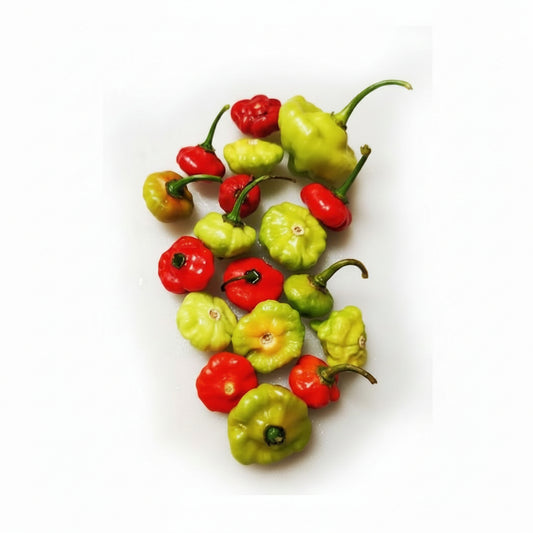 AJI TROMPITO POR KG