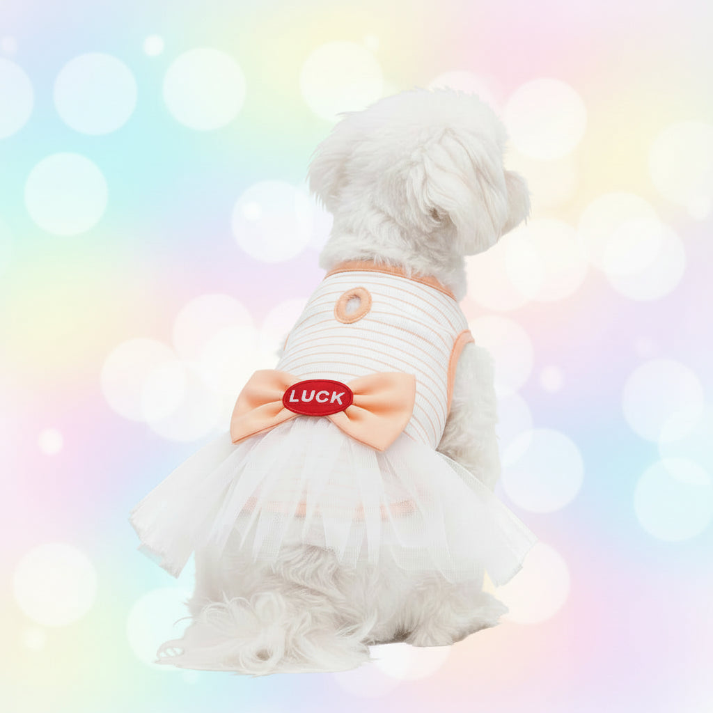 VESTIDO PARA MASCOTA CON DISEÑO DE RAYAS Y UN LAZO