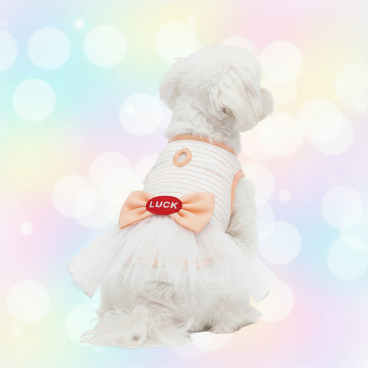 VESTIDO PARA MASCOTA CON DISEÑO DE RAYAS Y UN LAZO