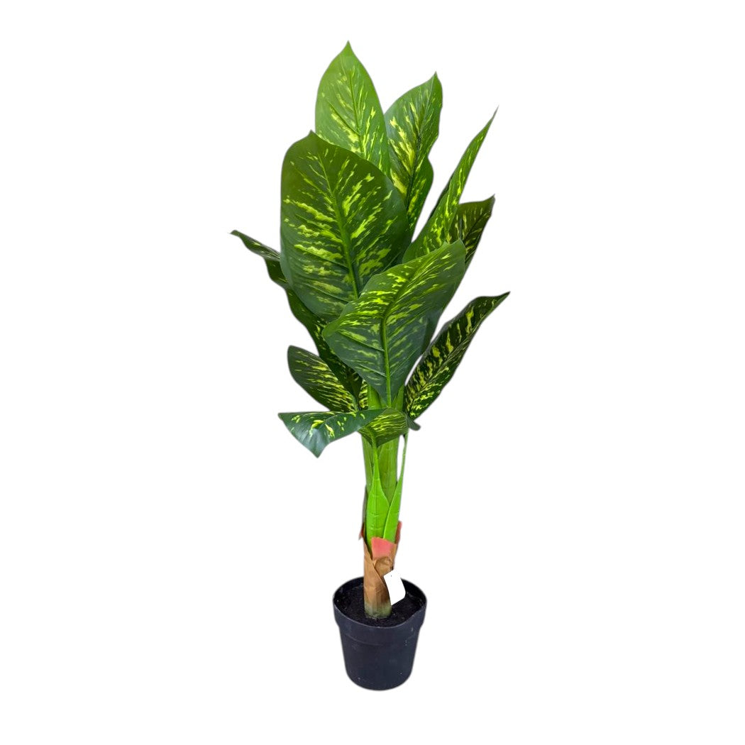 GALATEA ARTIFICIAL DECORATICA