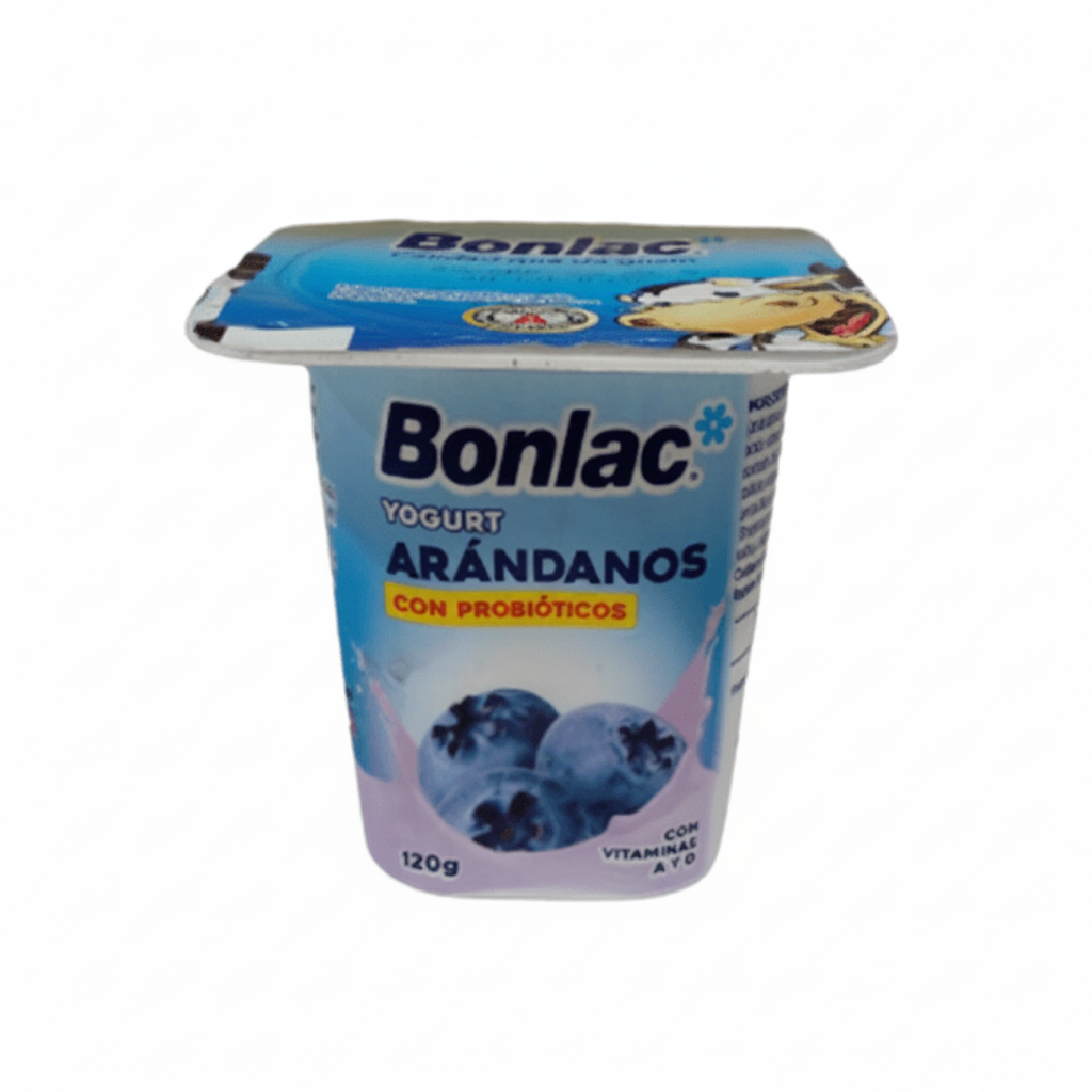 YOGURT ARANDANOS BONLAC 120GR