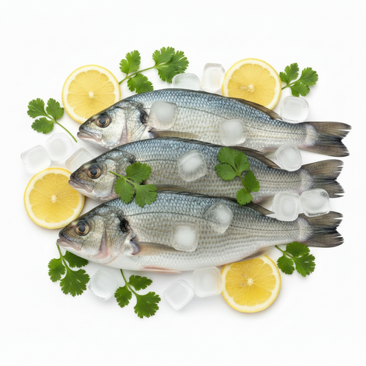 CORVINA ECONOMICA POR KG