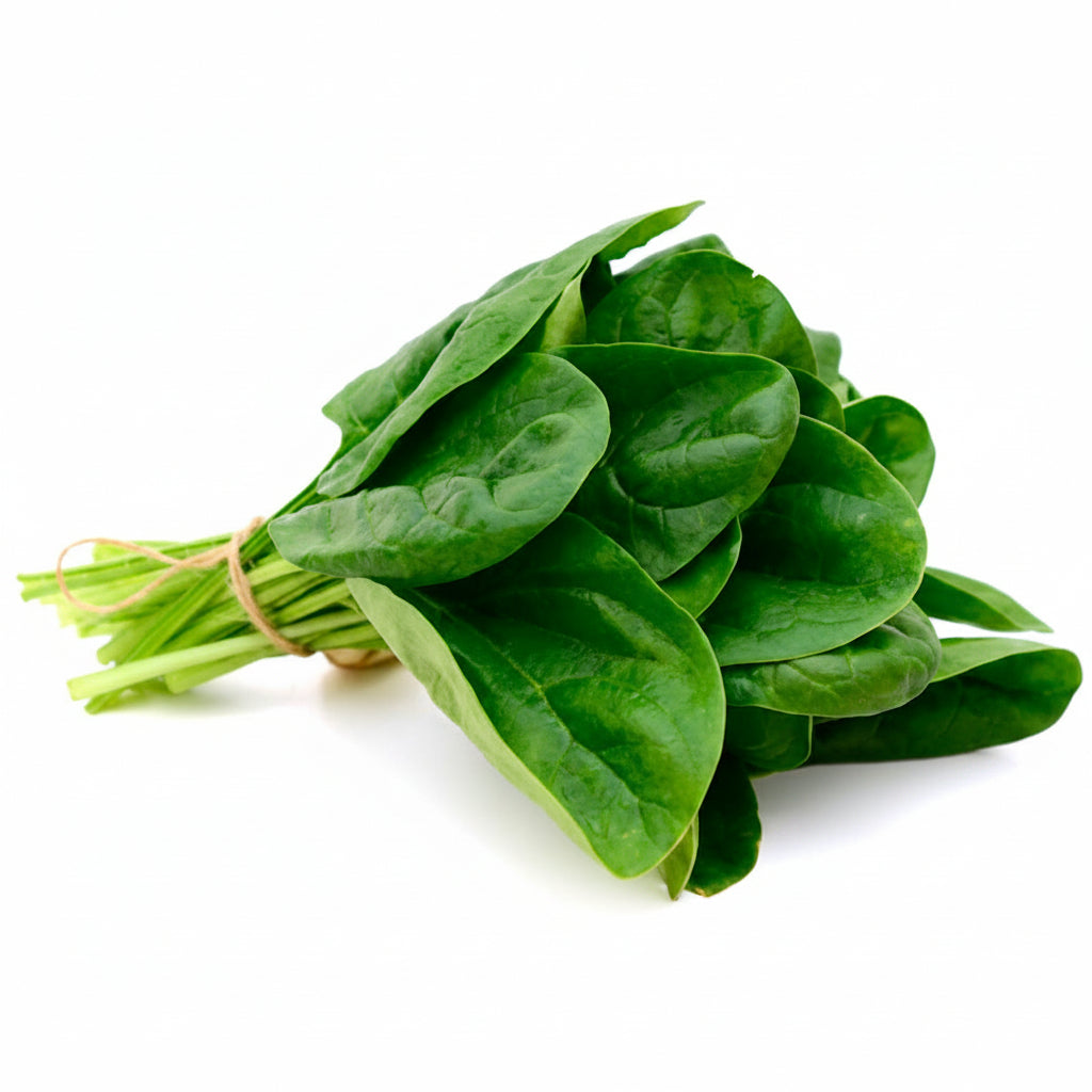 ESPINACA POR KG EL FUERTE