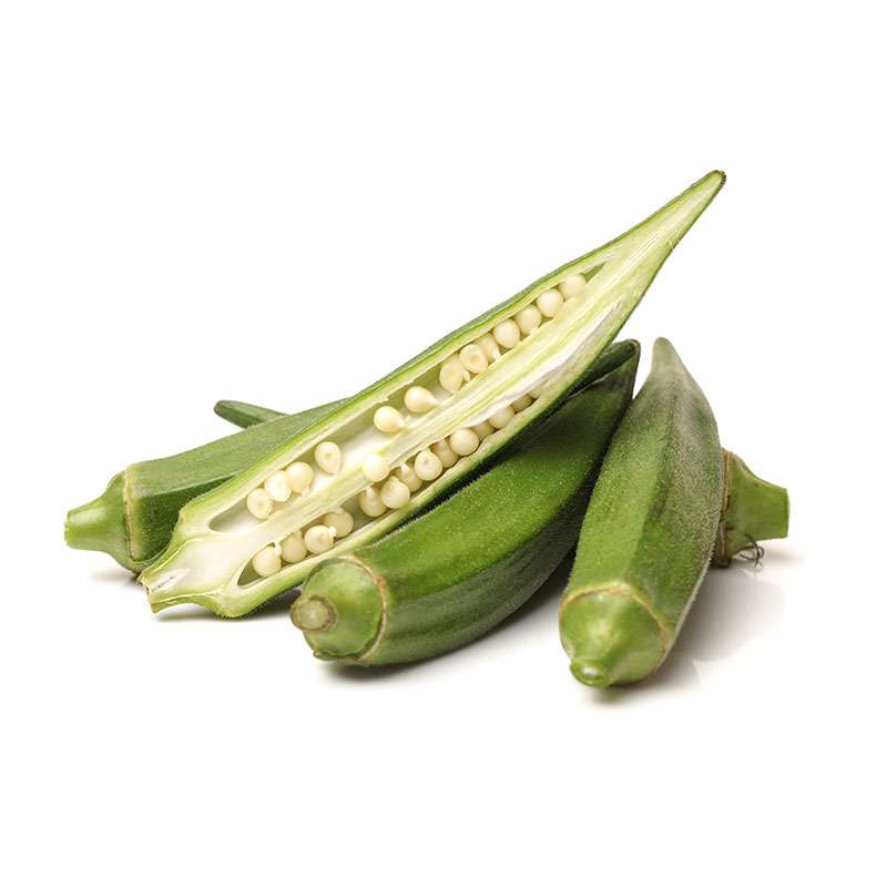 OCRA KG
