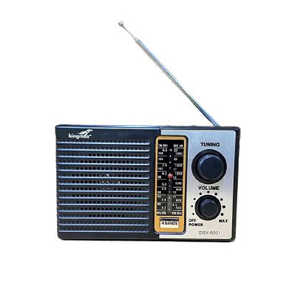 RADIO AM FM DSY-5001 KINGMOX