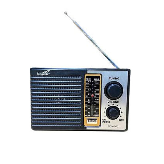 RADIO AM FM DSY-5001 KINGMOX
