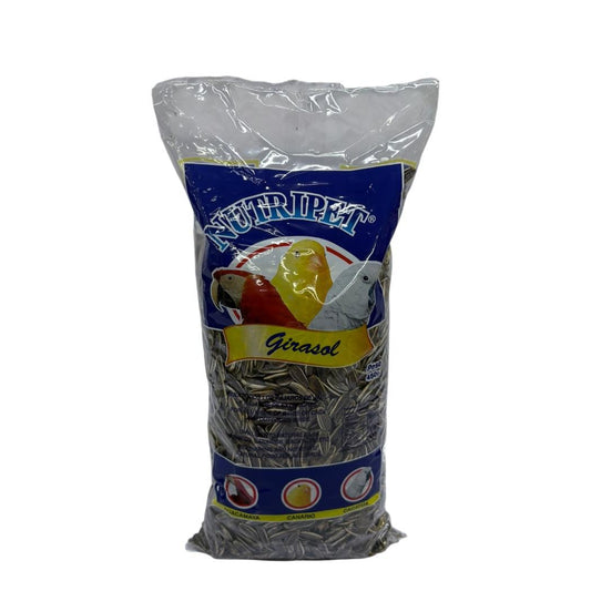 COMIDA PARA AVES GIRASOL 1LB