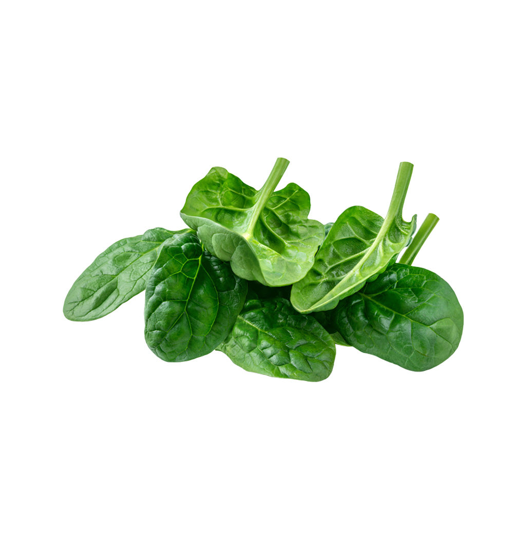 ESPINACA POR KG