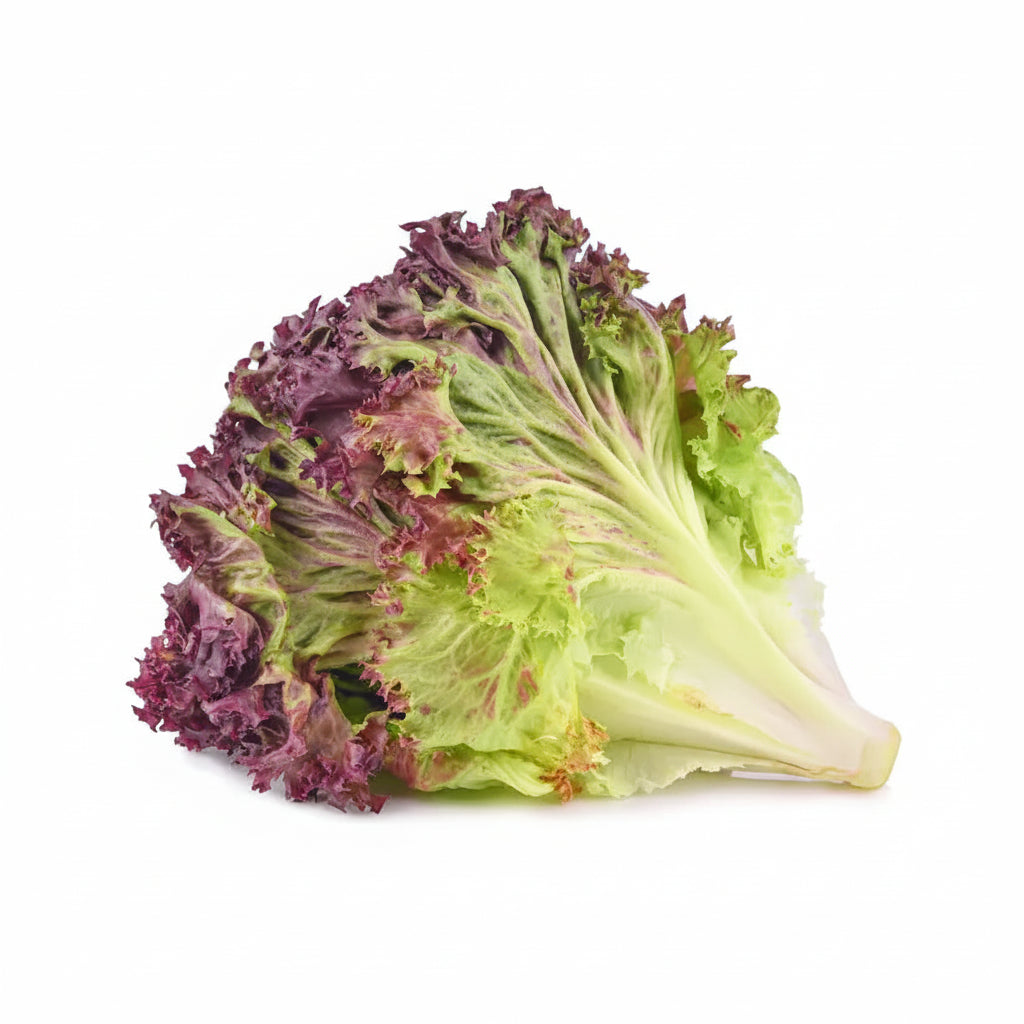 LECHUGA ROJA POR KG