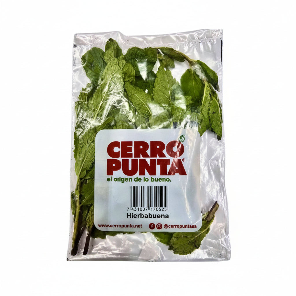 HIERBA BUENA CERRO PUNTA