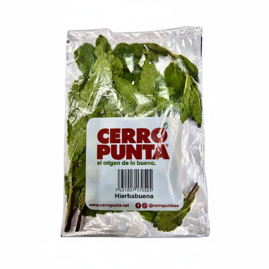 HIERBA BUENA CERRO PUNTA